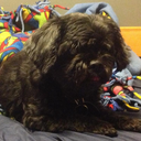 nefariousloins avatar