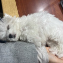 nefarioustars avatar