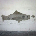 nefretkusuyorum avatar