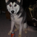 negativeintimacy avatar