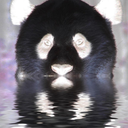 negativepanda avatar
