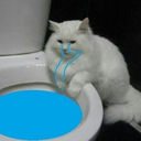 negorulduatiyonaq avatar