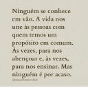 negrasafada-sc avatar