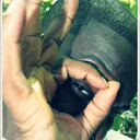 negroestupendo avatar