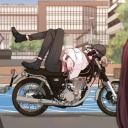 neko-kurochan avatar