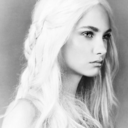 neko95126-blog avatar