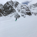 neleborchmann avatar