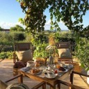 nelevongegenueber avatar