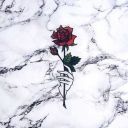 nelle2205-blog avatar