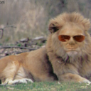 nellieblystunad avatar