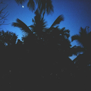 nemaa123-blog avatar