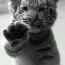 nemoubliespas avatar