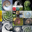 neni7777-blog avatar