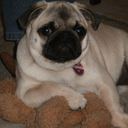 neohalligalli avatar