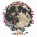 neoma-fay-blog avatar