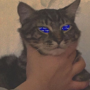 neon-feoda avatar