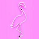 neon-pink-flamingo avatar