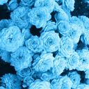 neonglitter-punk avatar