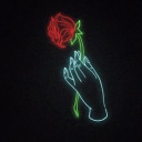 neonredrose avatar