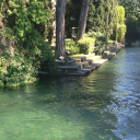 neonstarsdust avatar