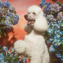 neonstorm-blog avatar