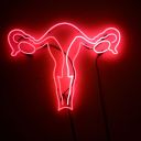 neonuterus avatar
