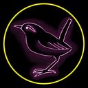 neonwren avatar