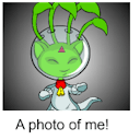 neopetsneopetsneopets avatar