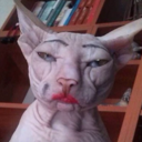 neopoint-blog avatar