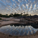 nephelococcygian-artreblog avatar