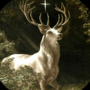 nephilim-deer avatar