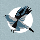 nephriteknight avatar