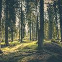 neptuneisforlovers avatar