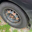 neptunenonsense avatar