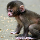 nera20500-blog avatar