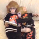 neraidaastrid avatar