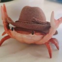 nerd-glasses-and-fake-lashes avatar