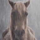 nerdsskittlesnsweeys avatar