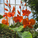 nerdy-birdy-photography avatar