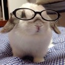 nerdybunnyy avatar