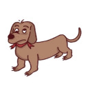 nerdydachshund avatar