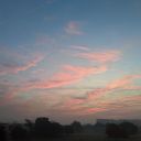 nerdydetective avatar