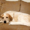 nerdydreamlandfire avatar