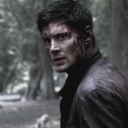 nerdyfavoritethings avatar