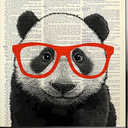 nerdypandadadada avatar