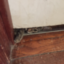 nerdyqueensandwich avatar