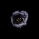 nerdysweetsstranger avatar