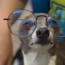 nerevarswritingstuff avatar