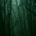 nerverlanddreamer avatar