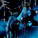 nerveslikecobwebs avatar